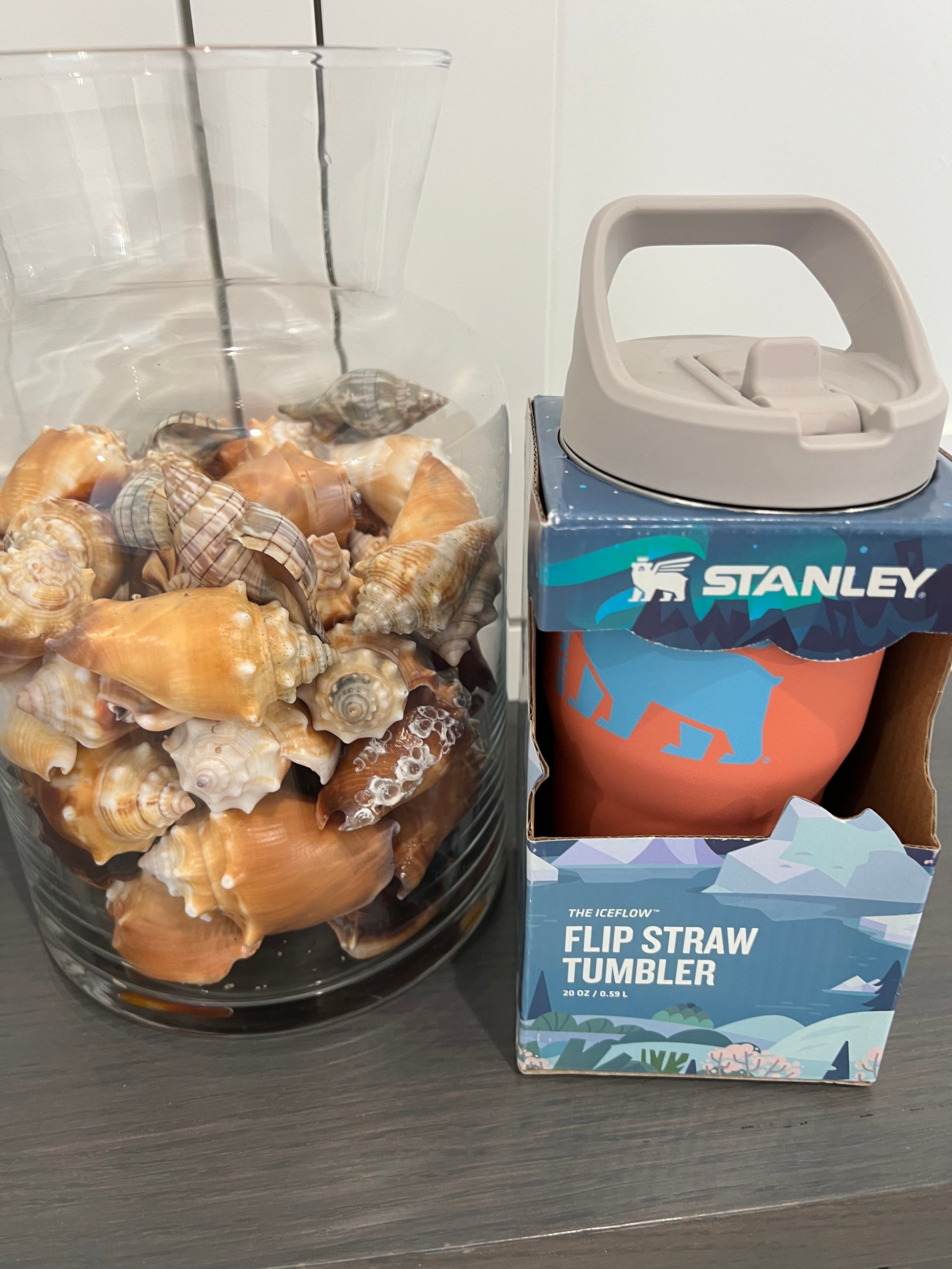 Stanley Wild Imagination IceFlow Flip Straw Tumbler 20oz Citron Cub